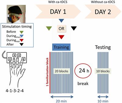 No Impact of Cerebellar Anodal Transcranial Direct Current Stimulation at Three Different Timings on Motor Learning in a Sequential Finger-Tapping Task